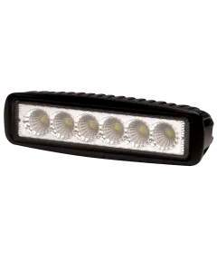 ECCO EW2441